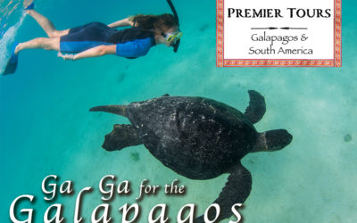 Ga Ga Over the Galapagos